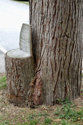 seat